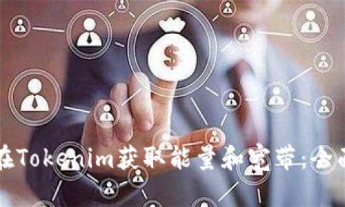 如何在Tokenim获取能量和宽带:全面指南