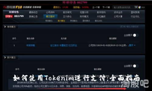 如何使用Tokenim进行支付:全面指南