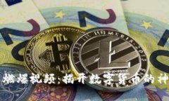 虚拟币燃爆视频：揭开数字货币的神秘面纱