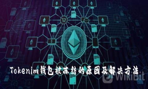Tokenim钱包被冻结的原因及解决方法