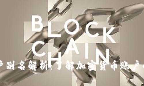虚拟币账户别名解析:了解加密货币账户的命名方式