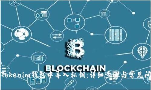 如何在Tokenim钱包中导入私钥:详细步骤与常见问题解答