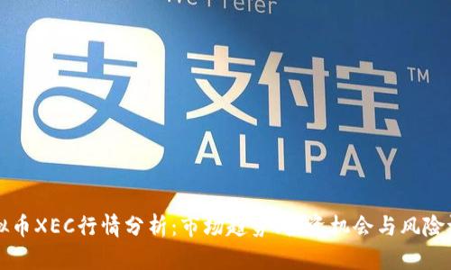 虚拟币XEC行情分析:市场趋势、投资机会与风险评估