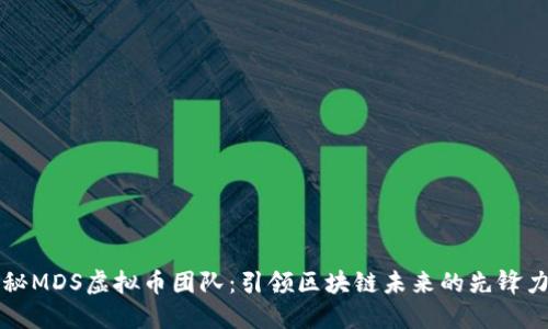 揭秘MDS虚拟币团队:引领区块链未来的先锋力量