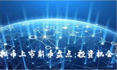 2023年虚拟币上市新币盘点：投资机会与风险分析