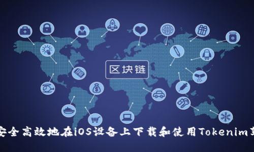 如何安全高效地在iOS设备上下载和使用Tokenim苹果版
