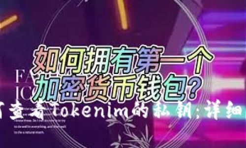 如何查看Tokenim的私钥:详细指南