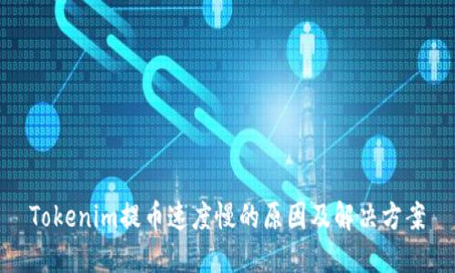 Tokenim提币速度慢的原因及解决方案