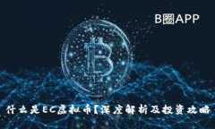 什么是EC虚拟币？深度解析及投资攻略