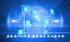 虚拟币FEC详解：投资机会与风险分析