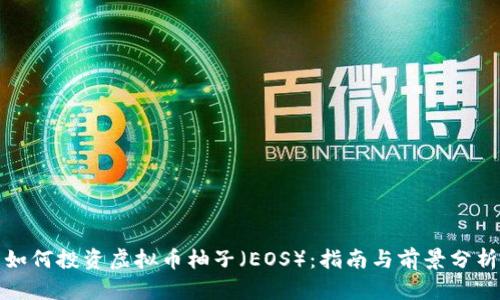 如何投资虚拟币柚子(EOS):指南与前景分析