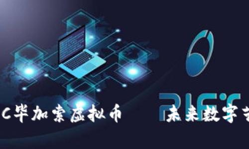深入解析：C毕加索虚拟币——未来数字艺术新风潮