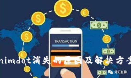Tokenimdot消失的原因及解决方案分析