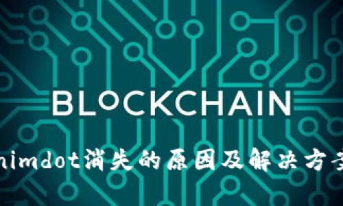 Tokenimdot消失的原因及解决方案分析