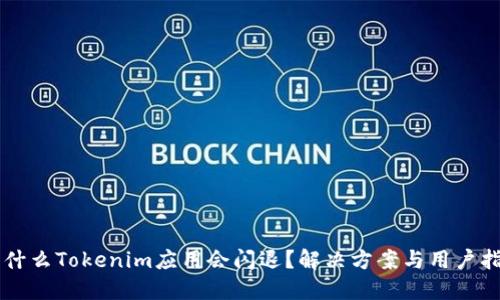 为什么Tokenim应用会闪退?解决方案与用户指南