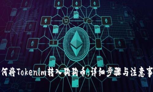 如何将Tokenim转入狗狗币：详细步骤与注意事项