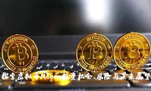 探索虚拟币Moon：投资机会、风险与未来展望