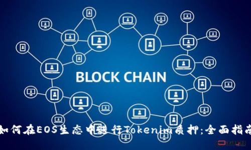 如何在EOS生态中进行Tokenim质押：全面指南