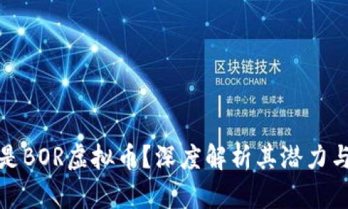 什么是BOR虚拟币?深度解析其潜力与前景