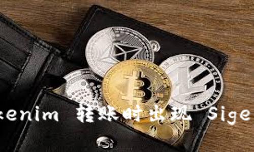 如何解决 Tokenim 转账时出现 Sige 错误的问题?