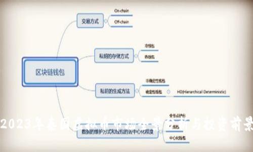 2023年泰国虚拟币市场全景分析与投资前景