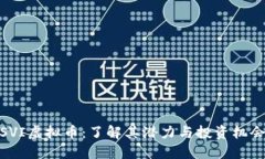 SVI虚拟币：了解其潜力与投资机会
