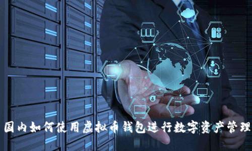国内如何使用虚拟币钱包进行数字资产管理