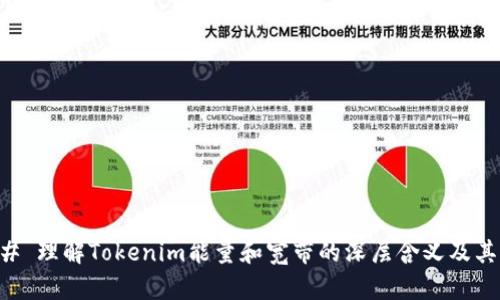 ### 理解Tokenim能量和宽带的深层含义及其应用