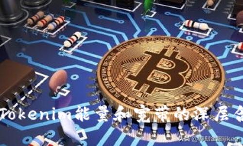 ### 理解Tokenim能量和宽带的深层含义及其应用