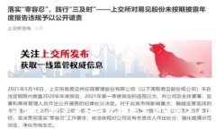虚拟币前进：投资者如何把握数字货币的未来机