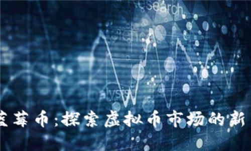 蓝莓币：探索虚拟币市场的新星