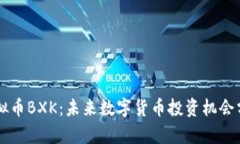 虚拟币BXK：未来数字货币投资机会分析
