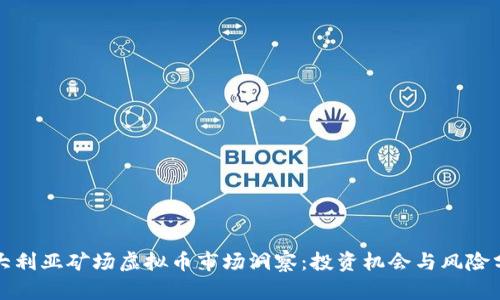 澳大利亚矿场虚拟币市场洞察:投资机会与风险分析