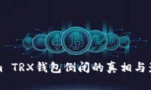 Tokenim TRX钱包倒闭的真相与影响分析