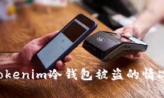 如何处理Tokenim冷钱包被盗的情况：全面指南