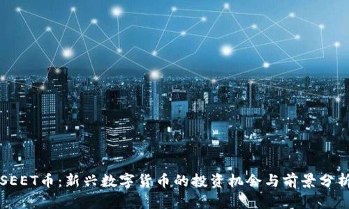 SEET币:新兴数字货币的投资机会与前景分析