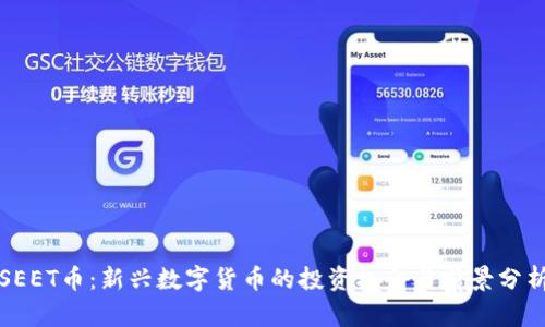 SEET币:新兴数字货币的投资机会与前景分析