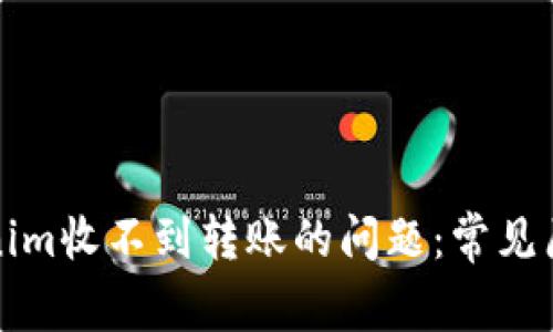 如何解决Tokenim收不到转账的问题:常见原因与解决方案