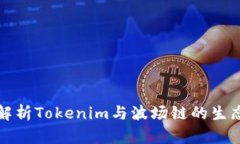 深入解析Tokenim与波场链的生态系统