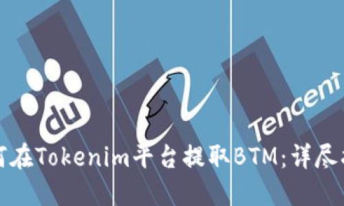 如何在Tokenim平台提取BTM:详尽指南