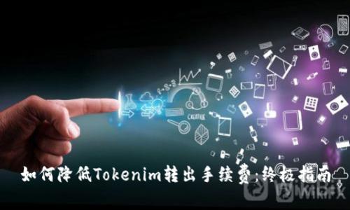 如何降低Tokenim转出手续费:终极指南