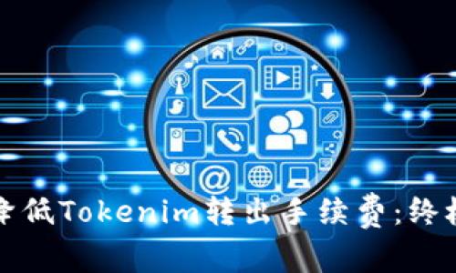 如何降低Tokenim转出手续费:终极指南