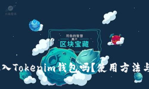 USDT能放入Tokenim钱包吗?使用方法与注意事项