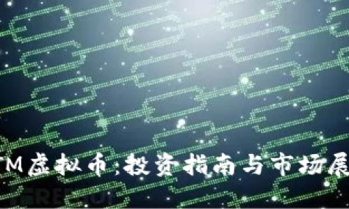RTM虚拟币:投资指南与市场展望