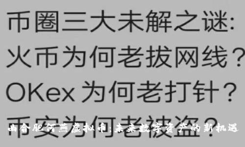 曲合肥何燕虚拟币：未来数字资产的新机遇