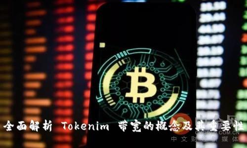 全面解析 Tokenim 带宽的概念及其重要性