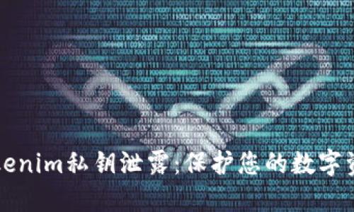 如何应对Tokenim私钥泄露:保护您的数字资产安全指南