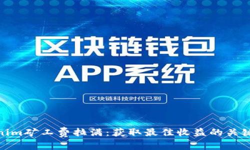 Tokenim矿工费拉满:获取最佳收益的关键策略