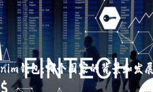 Tokenim钱包:哪个国家的背景和发展历程