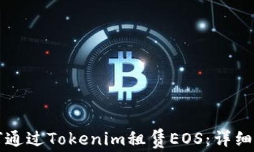 如何通过Tokenim租赁EOS:详细指南